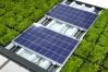 Anwendungsbeispiel: Die Solarpanele sind kompatibel mit dem Dachbegrünungssystem GREEN+